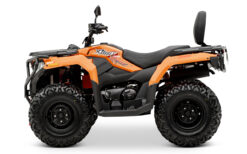 Alternative view of Loncin XWolf 300